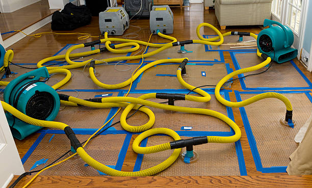 Professional Basement Flood Cleanup technician working in Litchfield, OH